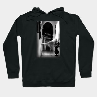 Window Hoodie